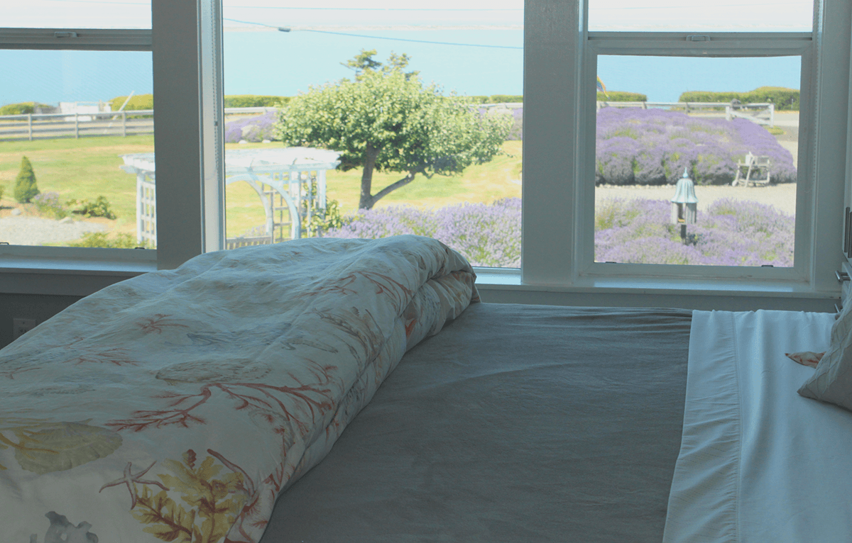 A cozy bed with floral bedding overlooks a lavender field and ocean view through large windows.