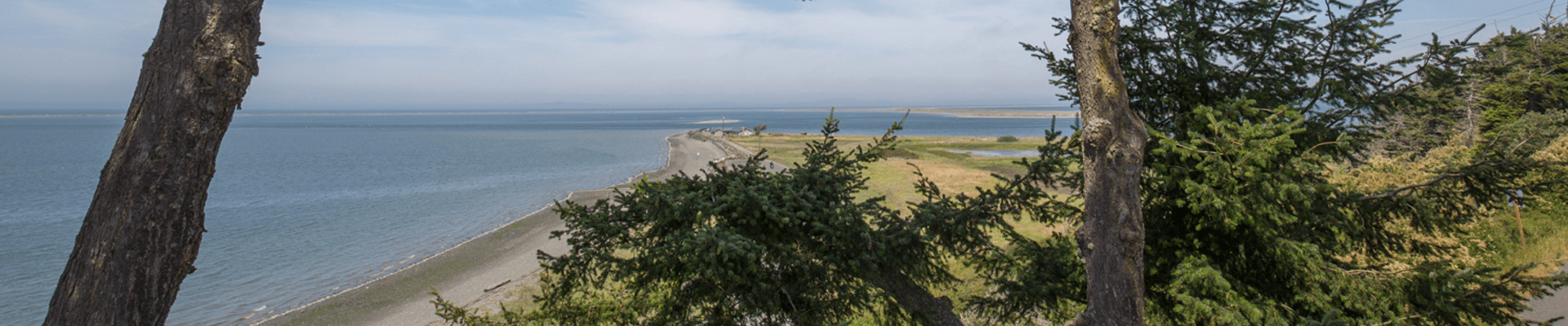A scenic view of a shoreline with trees in the foreground and calm waters in the background.