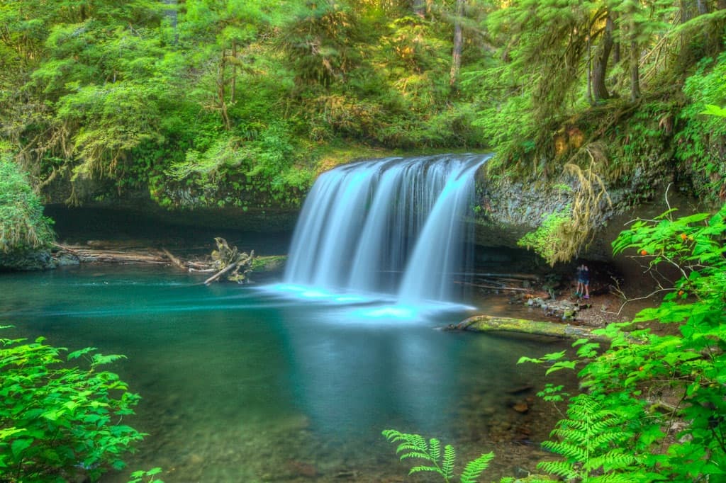 A serene waterfall cascading into a turquoise pool surrounded by lush green foliage.