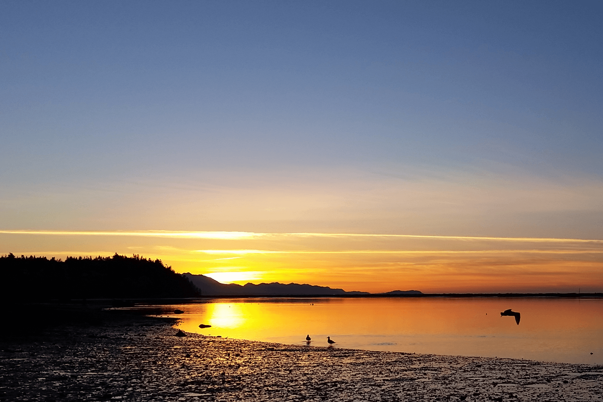 A serene sunset over calm waters, with silhouettes of birds and mountains in the background.