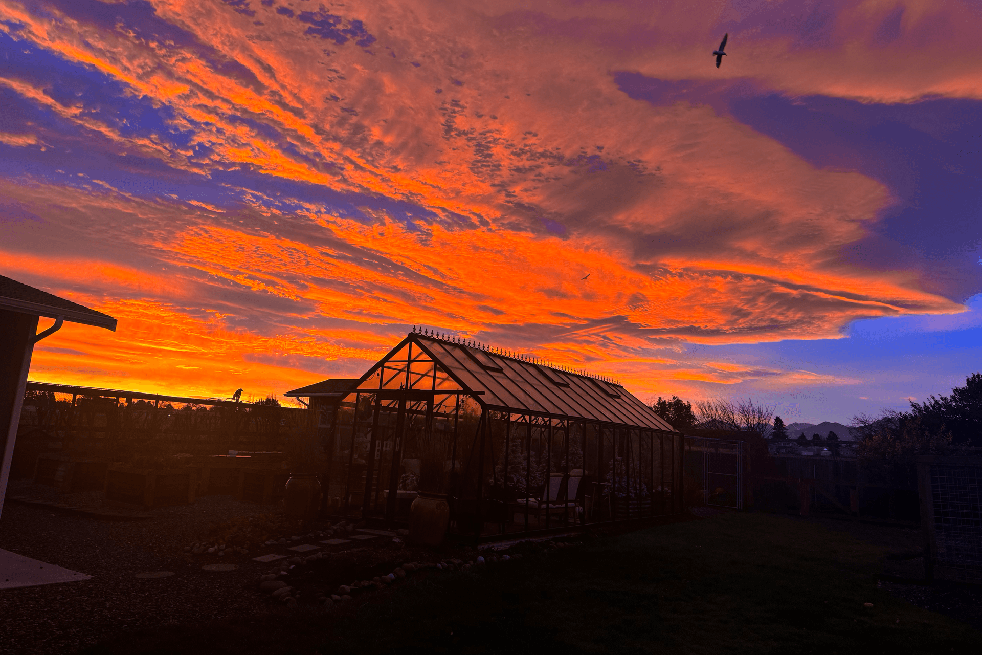 A vibrant sunset with orange and purple clouds above a garden greenhouse.